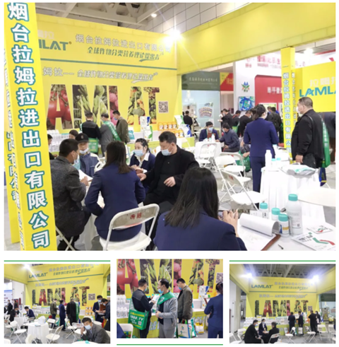 水溶肥，拉姆拉，翠姆