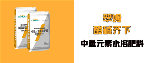 水溶肥，拉姆拉，翠姆